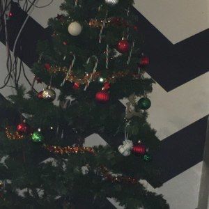 Meet your Posher, Flor